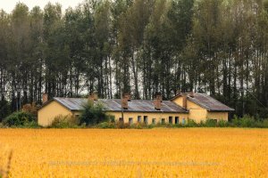 老道站照片 3