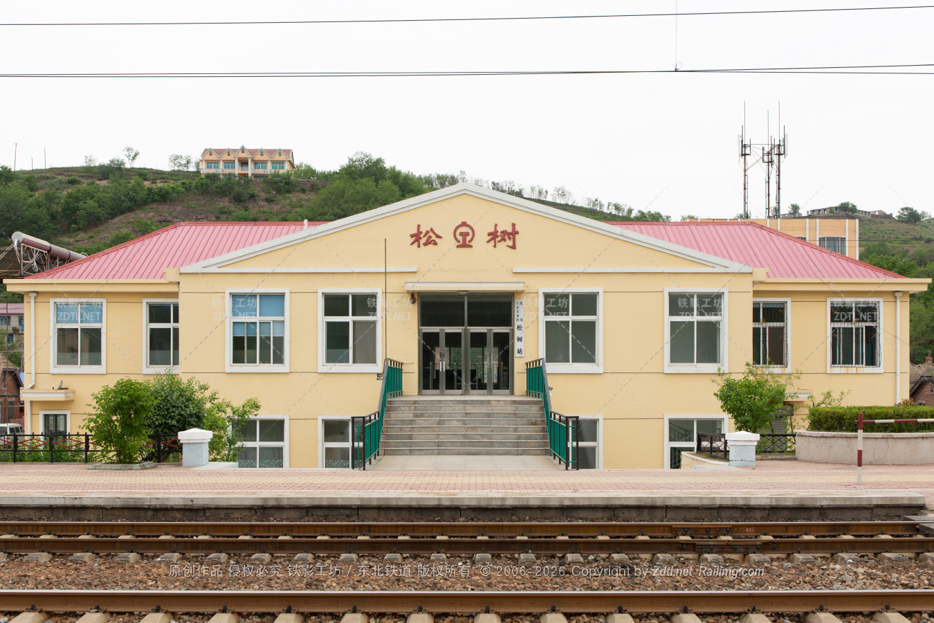 松树